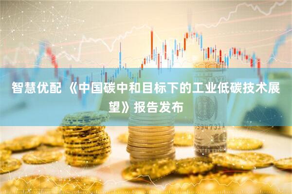 智慧优配 《中国碳中和目标下的工业低碳技术展望》报告发布