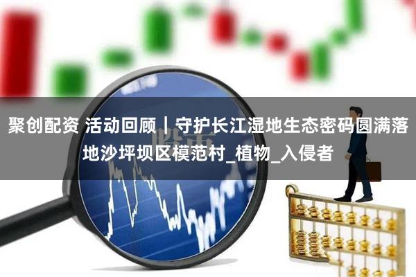聚创配资 活动回顾｜守护长江湿地生态密码圆满落地沙坪坝区模范村_植物_入侵者