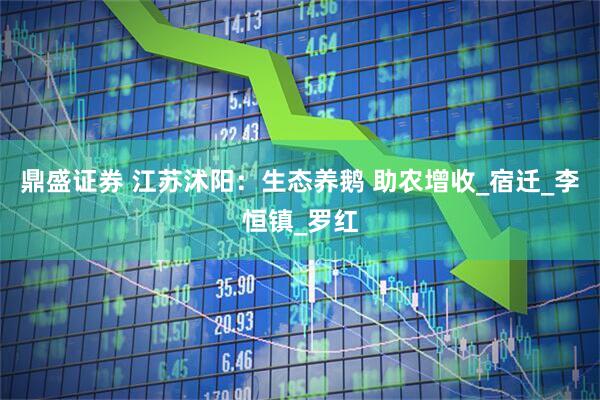 鼎盛证券 江苏沭阳：生态养鹅 助农增收_宿迁_李恒镇_罗红