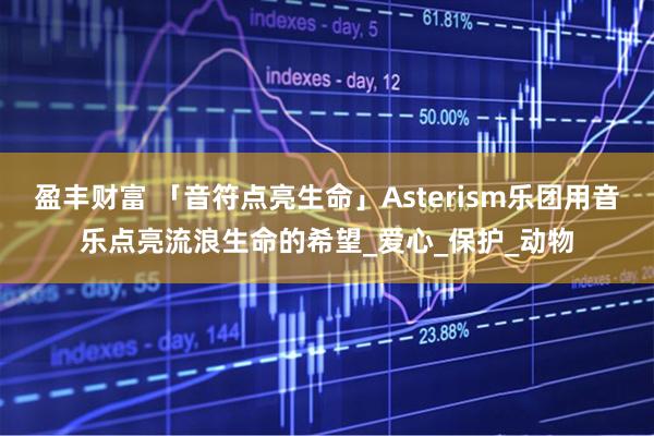 盈丰财富 「音符点亮生命」Asterism乐团用音乐点亮流浪生命的希望_爱心_保护_动物