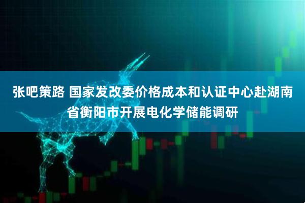 张吧策路 国家发改委价格成本和认证中心赴湖南省衡阳市开展电化学储能调研