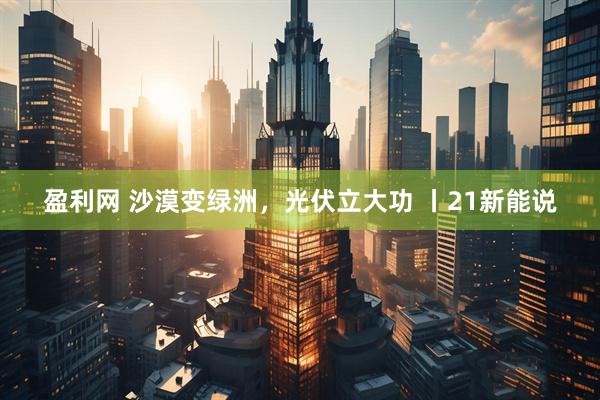 盈利网 沙漠变绿洲，光伏立大功 丨21新能说