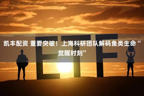 凯丰配资 重要突破！上海科研团队解码鱼类生命“觉醒时刻”