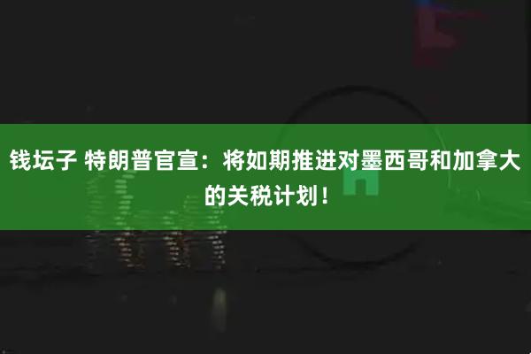 钱坛子 特朗普官宣：将如期推进对墨西哥和加拿大的关税计划！