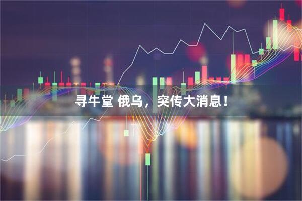寻牛堂 俄乌,突传大消息!