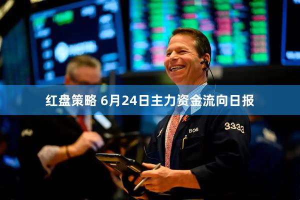 红盘策略 6月24日主力资金流向日报